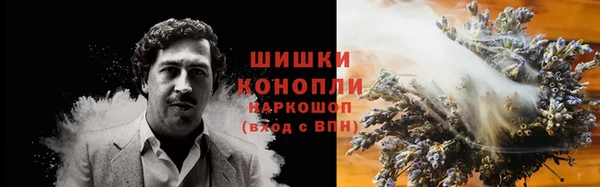 дживик Елабуга