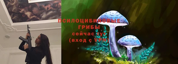 дживик Елабуга
