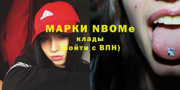 дживик Елабуга