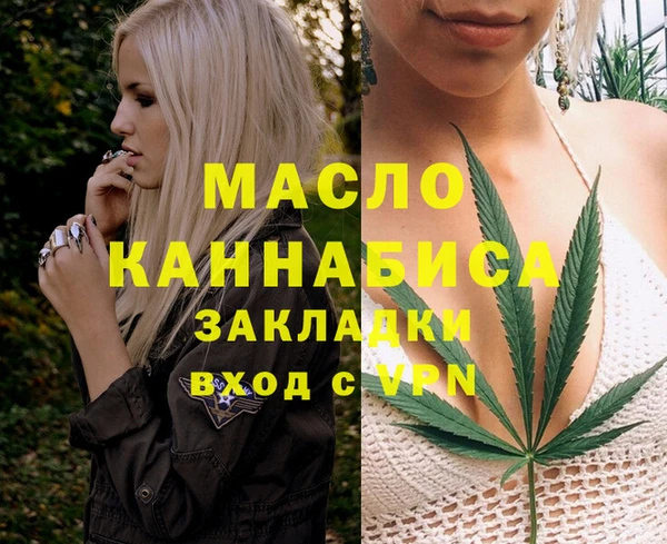МДПВ Дмитриев