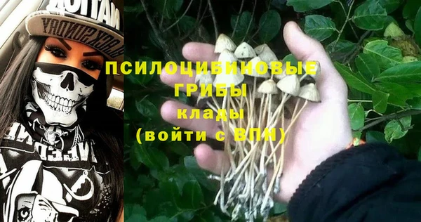 прущий лед Ельня