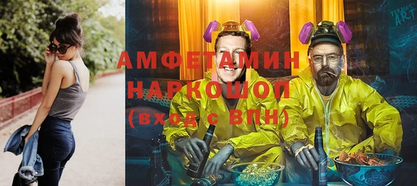 МДПВ Дмитриев