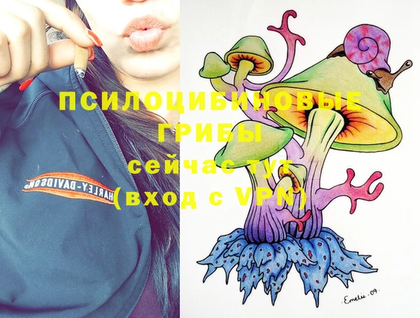 бутират Дмитровск
