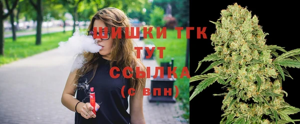 СК Дмитров