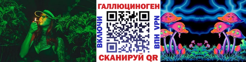 omg ТОР  Учалы  Псилоцибиновые грибы GOLDEN TEACHER 